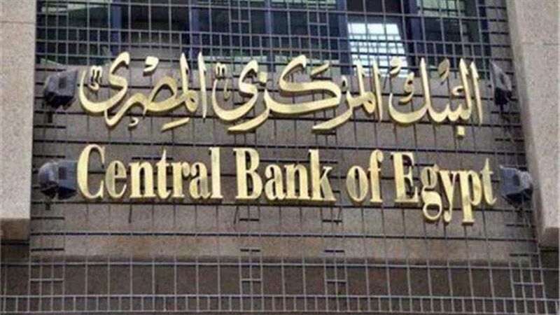 Egypt's Central Bank Warns of Rising Cyber Fraud