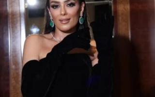 英吉·埃尔-莫卡德姆谈她在《六个蒙娜丽莎》中的角色