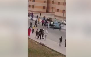 Student Causes Deadly Crash in Egypt, Killing Woman and Child