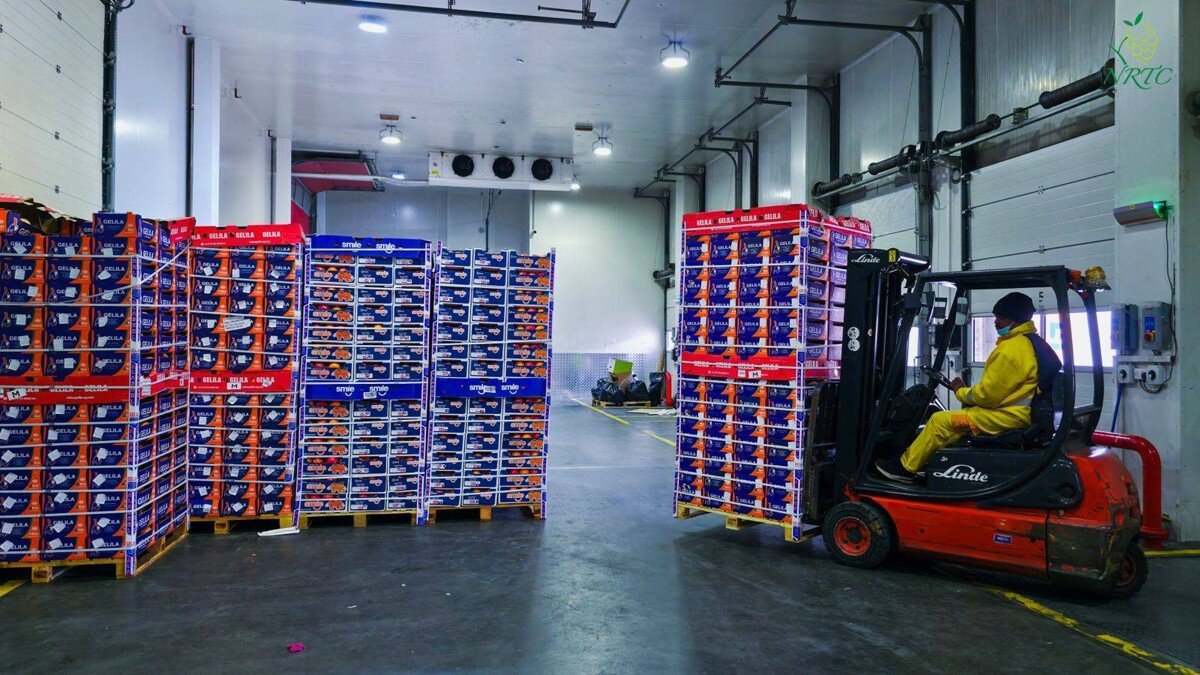 Company «إن آر تي سي» completes merger