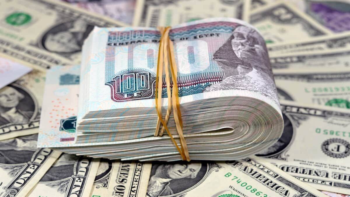 Dollar Stability Against Egyptian Pound