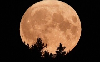 'Butterfly Moon' to illuminate Arab region's sky