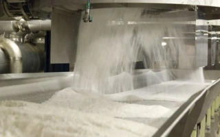 Egypt Achieves Sugar Self-Sufficiency, Aims for Wheat Self-Sufficiency
