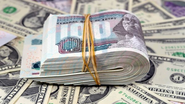 Dollar Maintains Stability Against Egyptian Pound