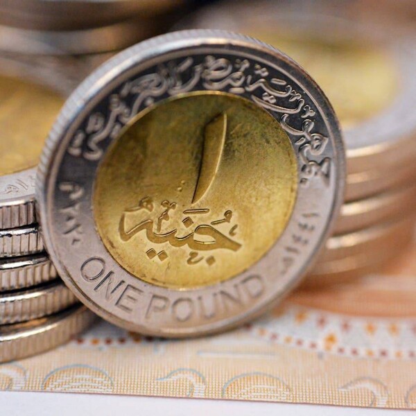 埃及将发行新的2英镑硬币