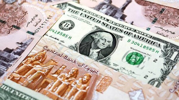 Устойчивость курса доллара по отношению к египетскому фунту