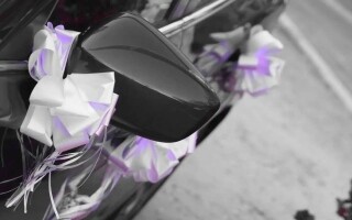 Egypt Wedding Tragedy: Bride and Groom Killed in Car Crash